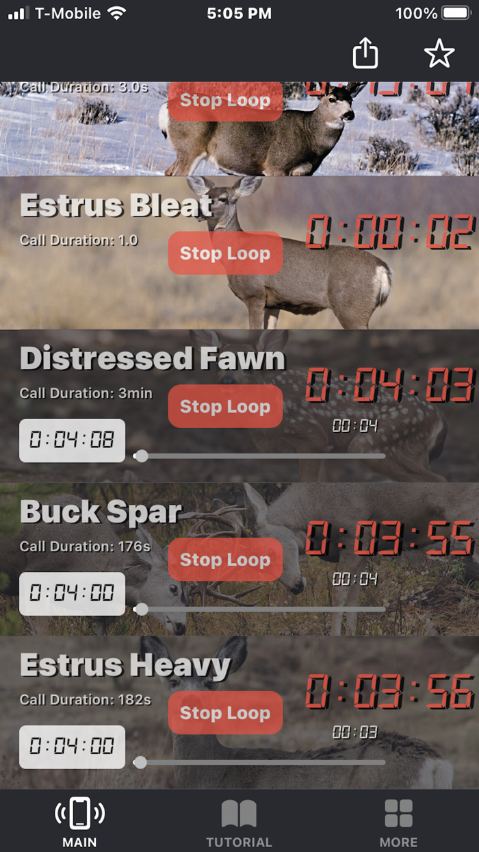 Mule Deer Calls