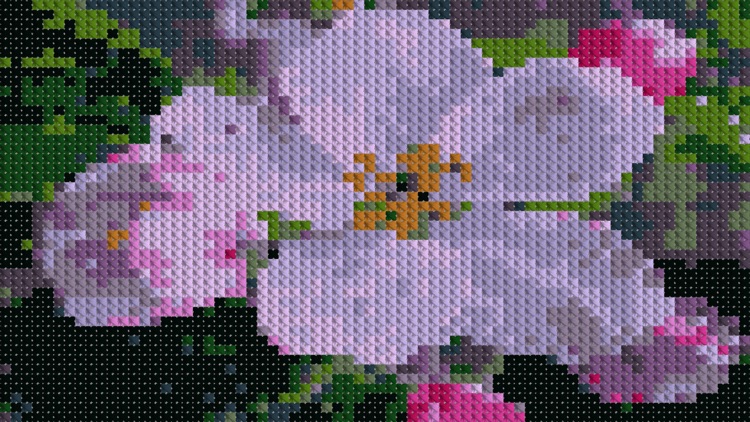 Cross Stitching Flowers screenshot-5