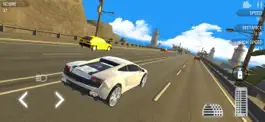 Game screenshot Extreme Car Racing mod apk