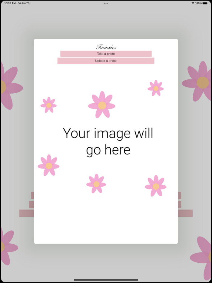 Twinsies - Celebrity Lookalike