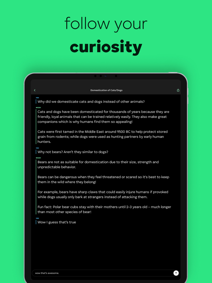 Ask Wizzo - Learn anything