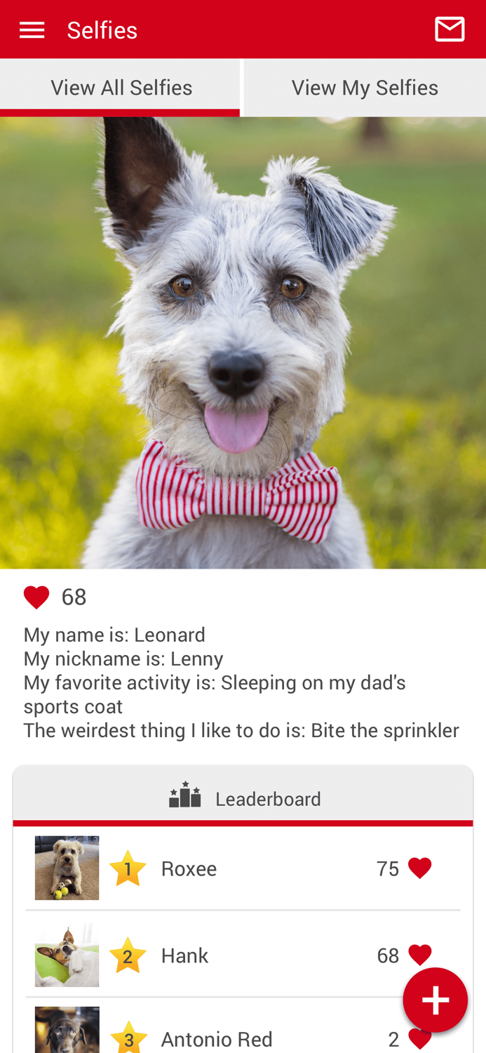 Alamance Vet Hospital