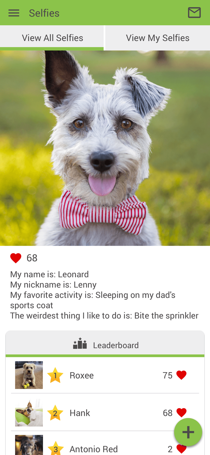 Big Creek Animal Hospital