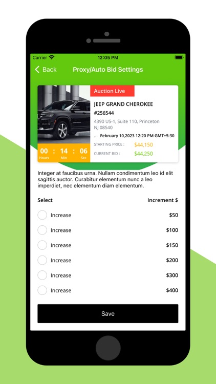 Autoauctioned screenshot-5