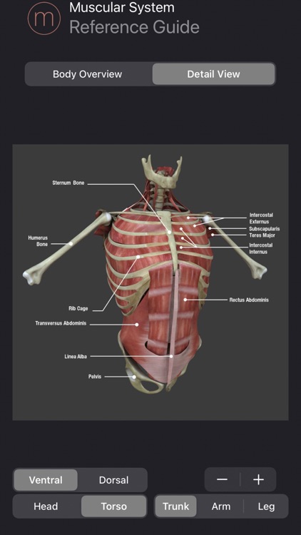 Human Anatomy Study Guide screenshot-3