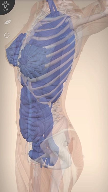 AnatomyMap screenshot-6
