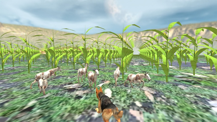 Shepherd Dog:Wild Animal Game screenshot-7