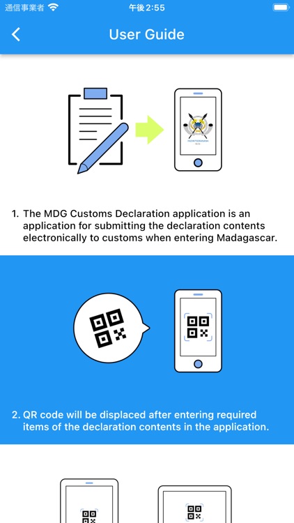 MDG Customs Declaration App.