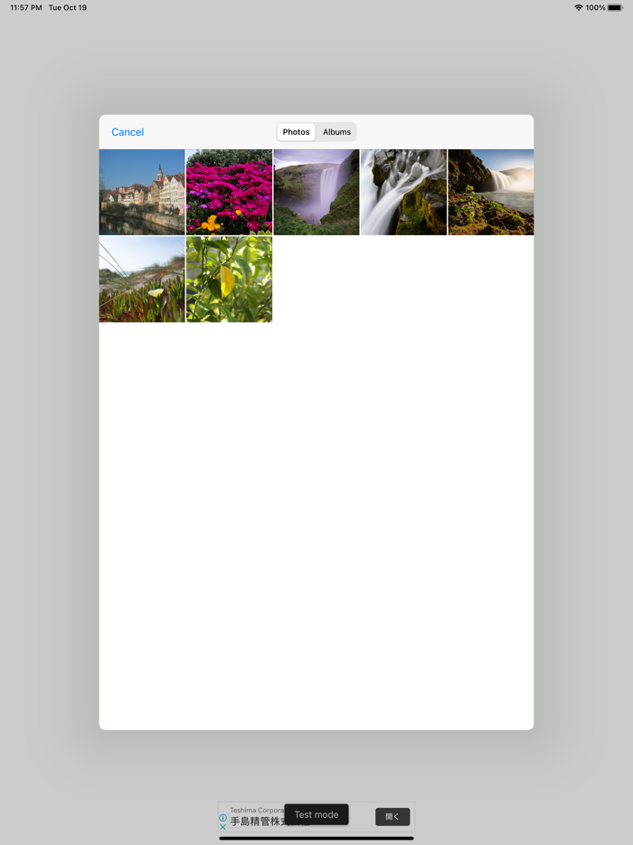 Art Style - styled photo