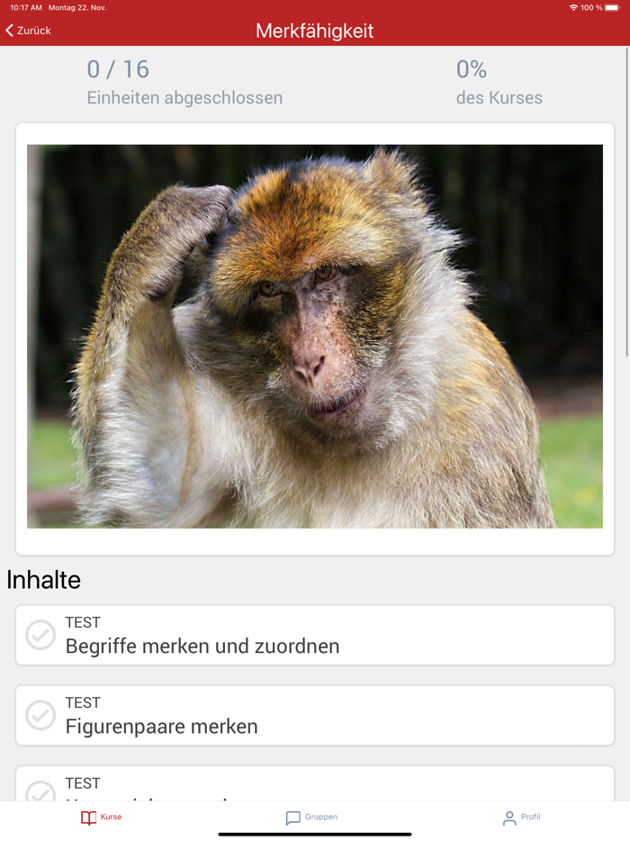 Polizei Schweiz - Karriere