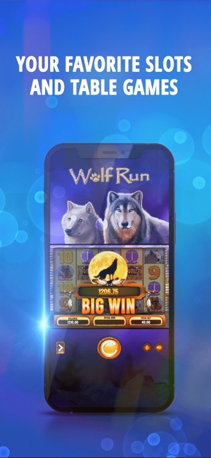 What You Should Have Asked Your Teachers About casino