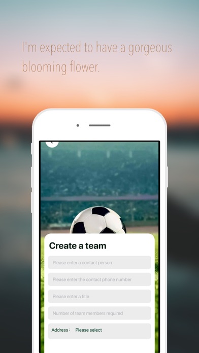 Screenshot #3 pour Soccers Team