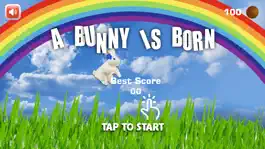 Game screenshot A RABBIT IS BORN hack