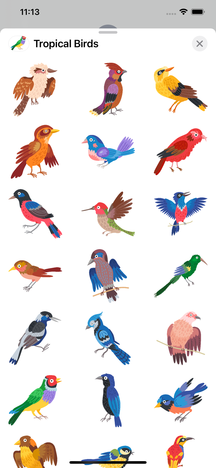 Tropical Birds, Plants, Flower