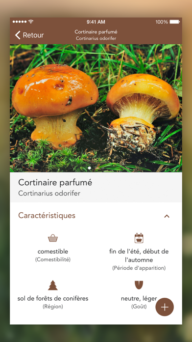 Champignons PRO Champignons PRO