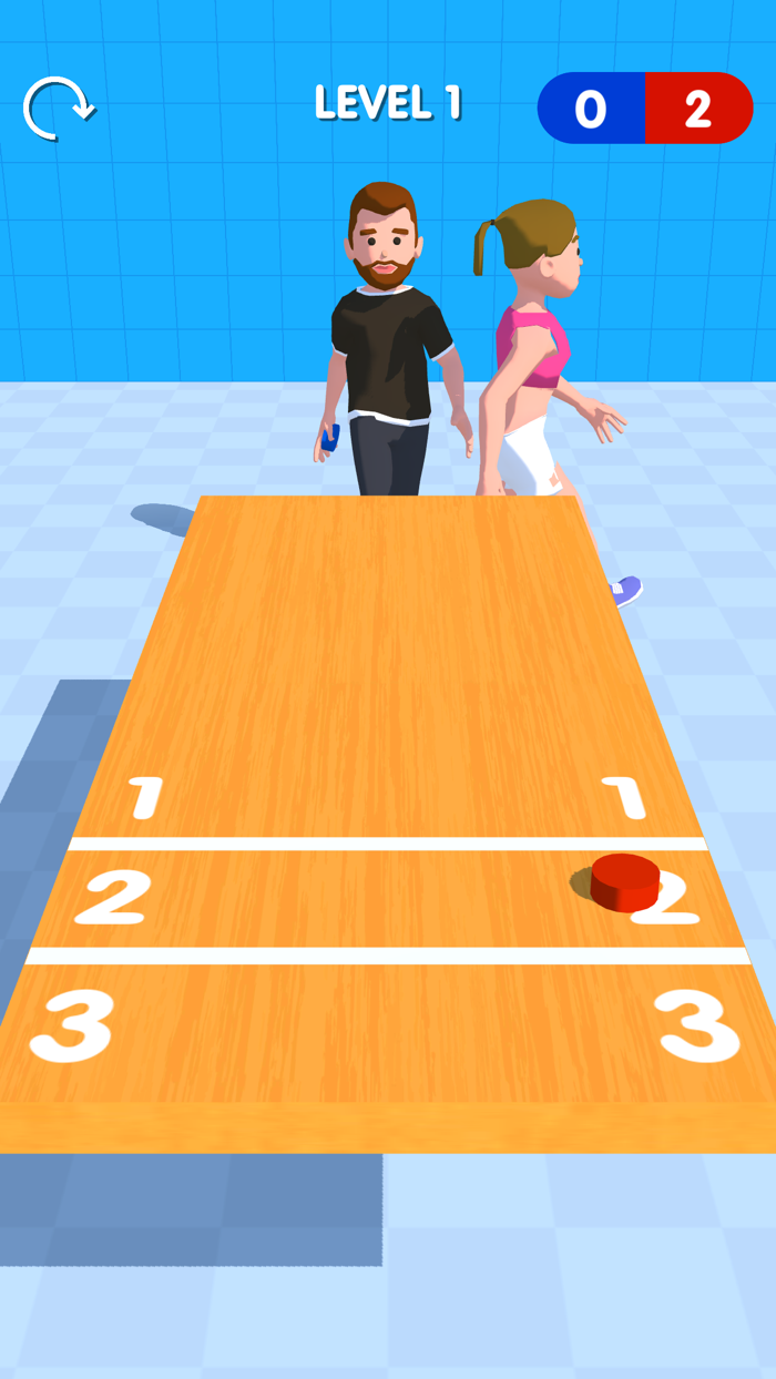 Shuffleboard Master 3D