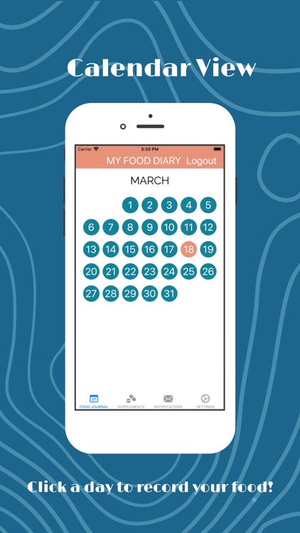 Vees Honey Food Diary