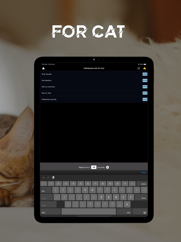 Calming Sound for Cats