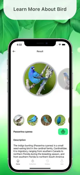 Game screenshot Bird Identifier Identify Bugs hack