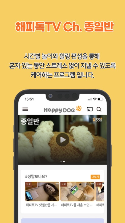 해피독(Happy Dog) - 우리아이 돌봄 서비스 screenshot-3