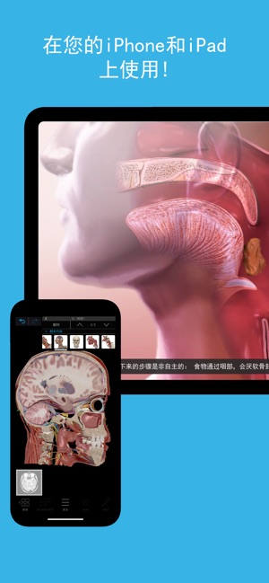 App Store 上的“2023人体解剖学图谱”