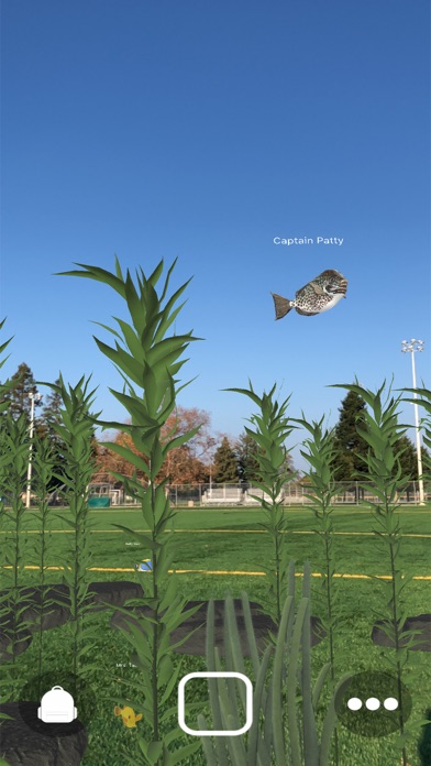 Magic Fish AR screenshot 5