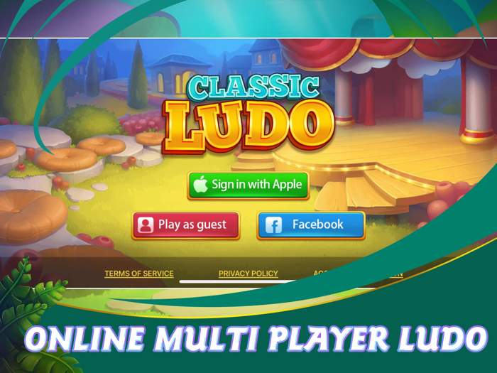 Classic Ludo - Board Game