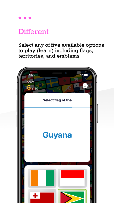 Globe Flags and Countries screenshot 3