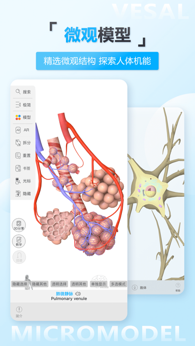 维萨里3D解剖-学生学习老师教学医生资源人体医学图谱大全 screenshot 4
