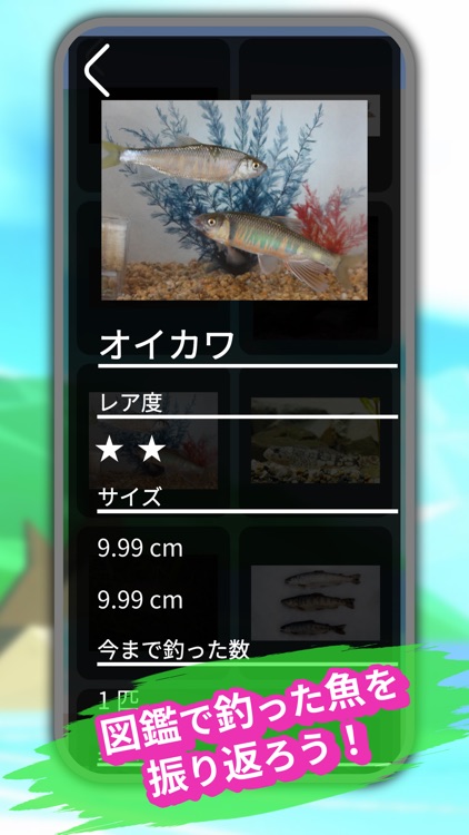 Pocket Fishing screenshot-6