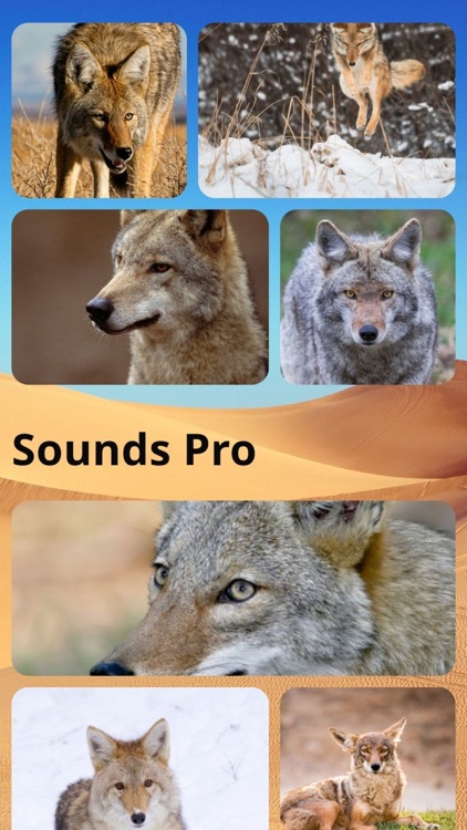 Coyote Sounds Pro screenshot-9