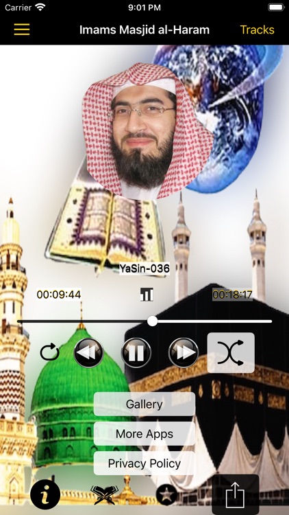 Imams of Masjid al Haram screenshot-8