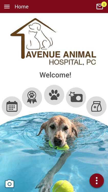 Avenue Animal Hospital