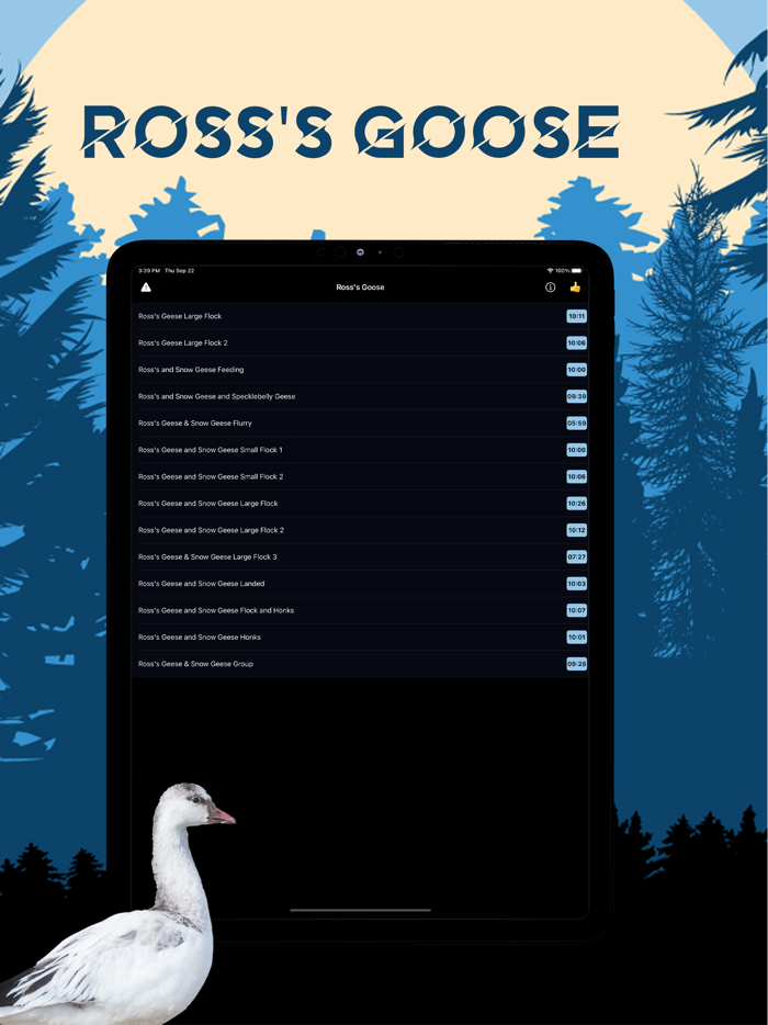Rosss Goose Magnet-Goose Call