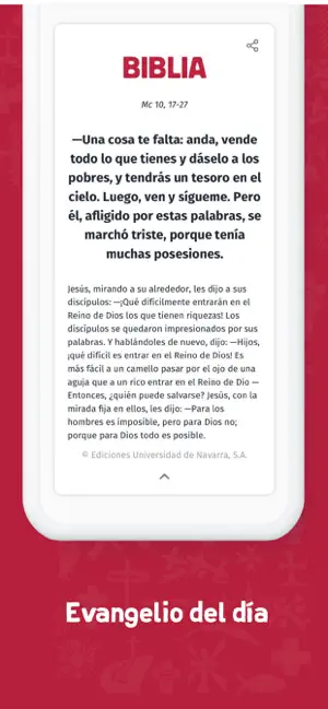 Screenshot 3 YOUCAT Daily | Biblia, DOCAT iphone