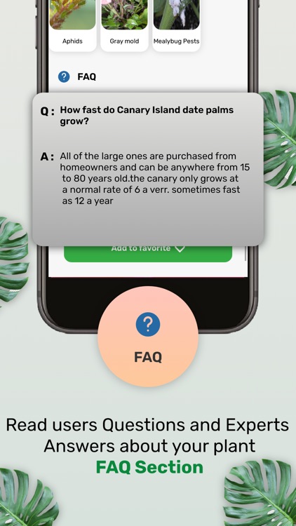 Plant Identifier & Care Tips screenshot-6