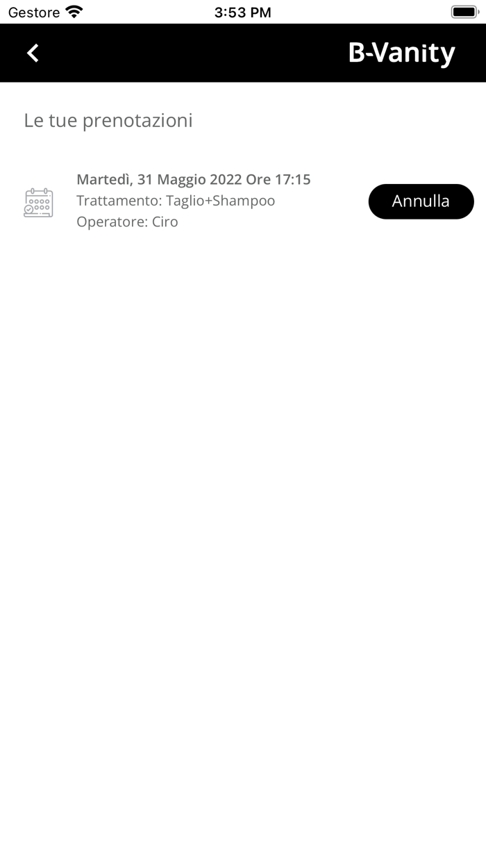 Ciro Luccaro Hair Style