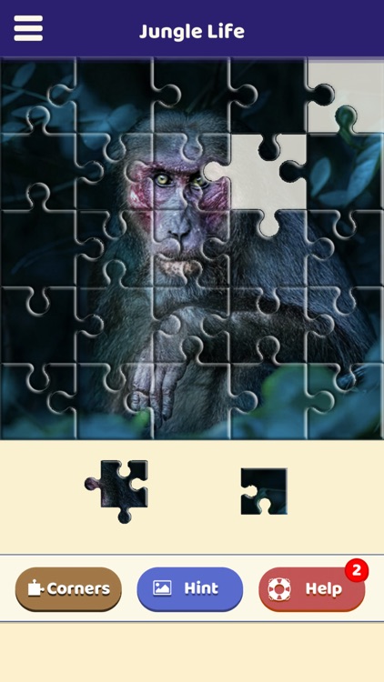 Jungle Life Puzzle