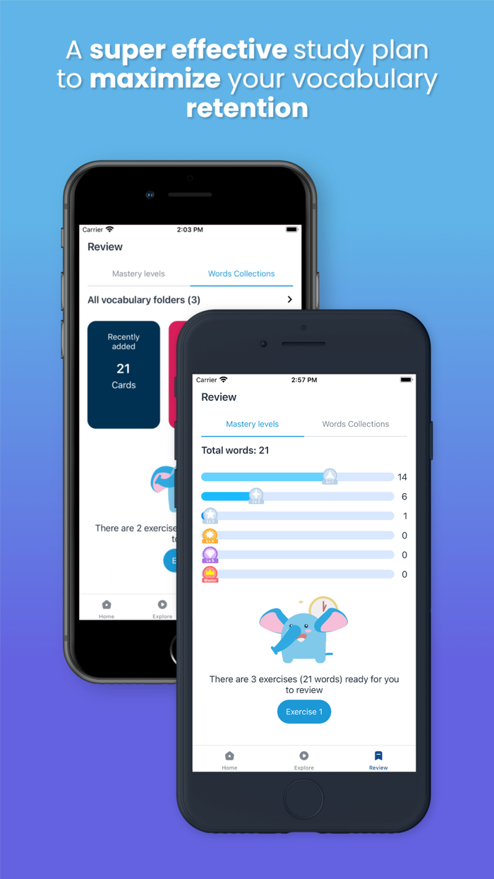 Yola Lexis Dictionary  Vocab