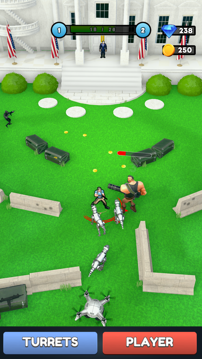 Idle White House Defense