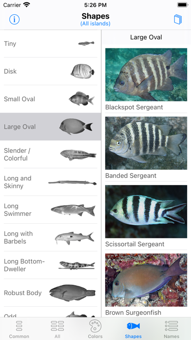 Tahiti Fish ID screenshot 8
