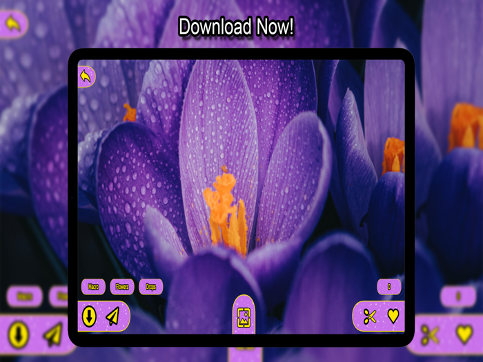 Purple Wallpapers HD 4K