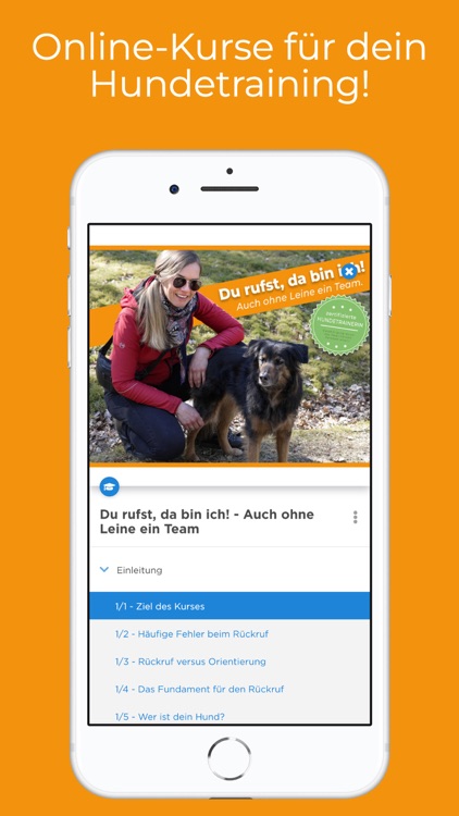 DogsTV