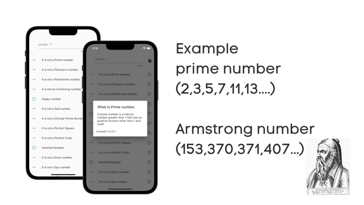 What Numbers:number theory