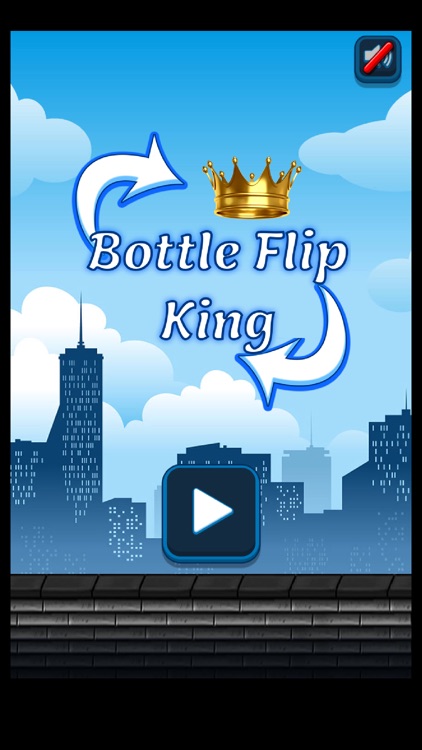 Bottle Flip King