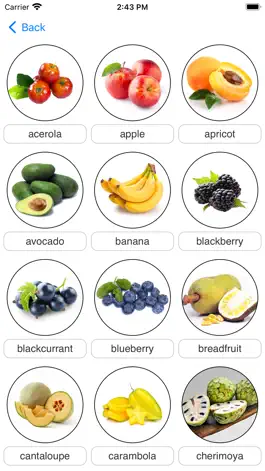 Game screenshot Learn Fruits Quickly apk