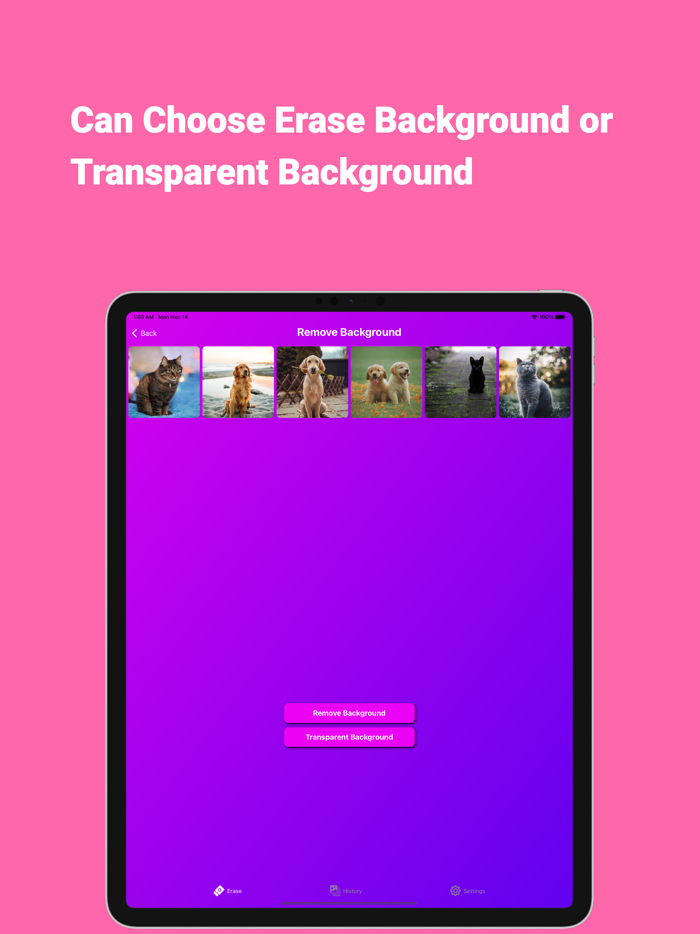 Background Transparent