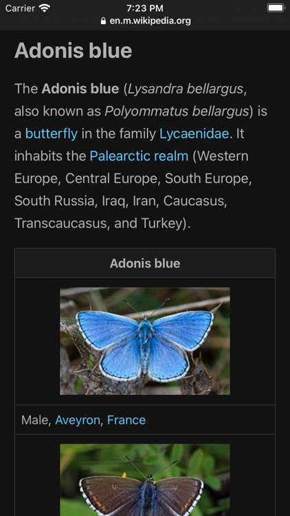 Butterfly Identifier: Moth ID