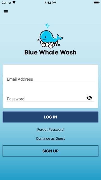 Blue Whale Wash