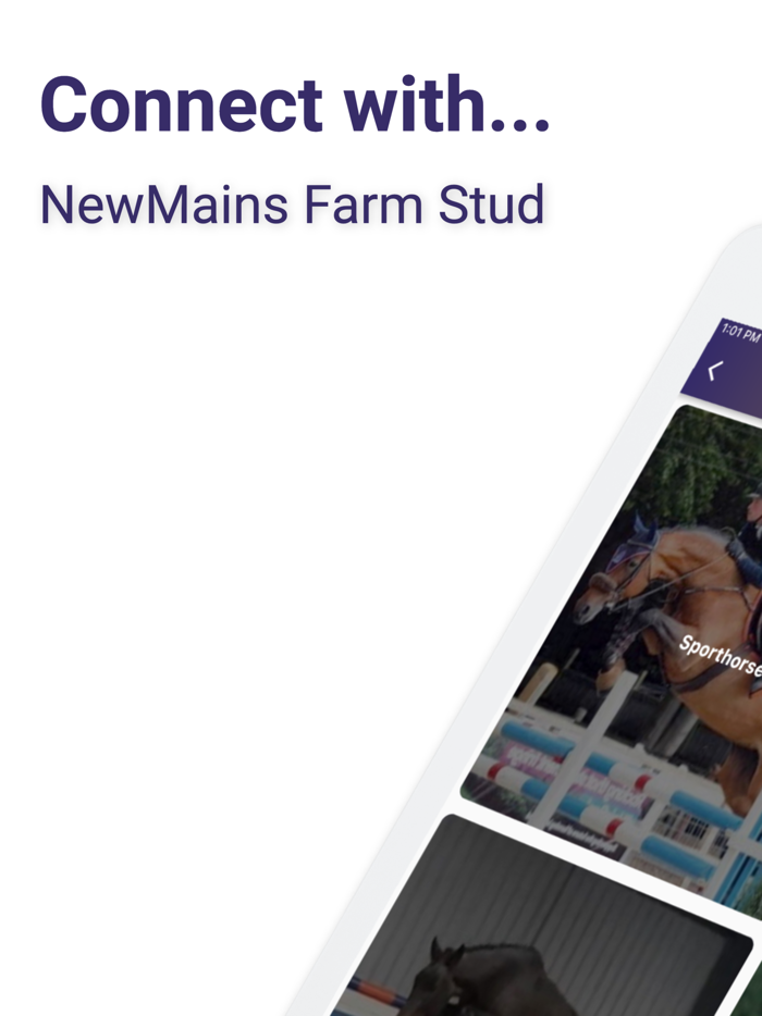 NewmainsFarmStud